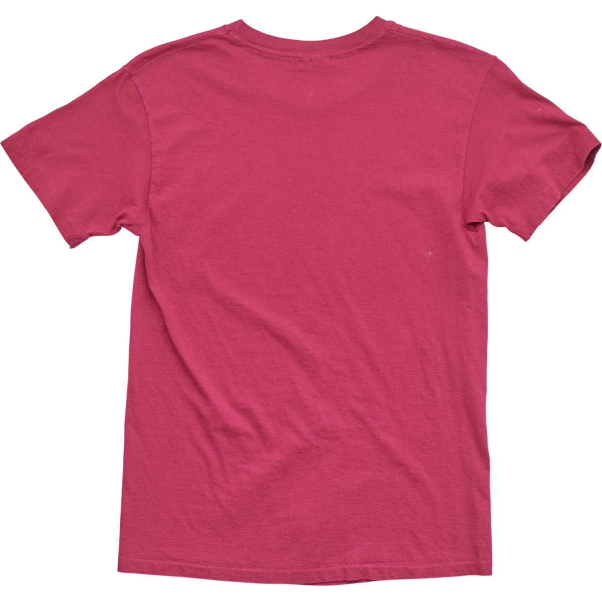 Springy x ACL Fest Pink Skyline Tee - S