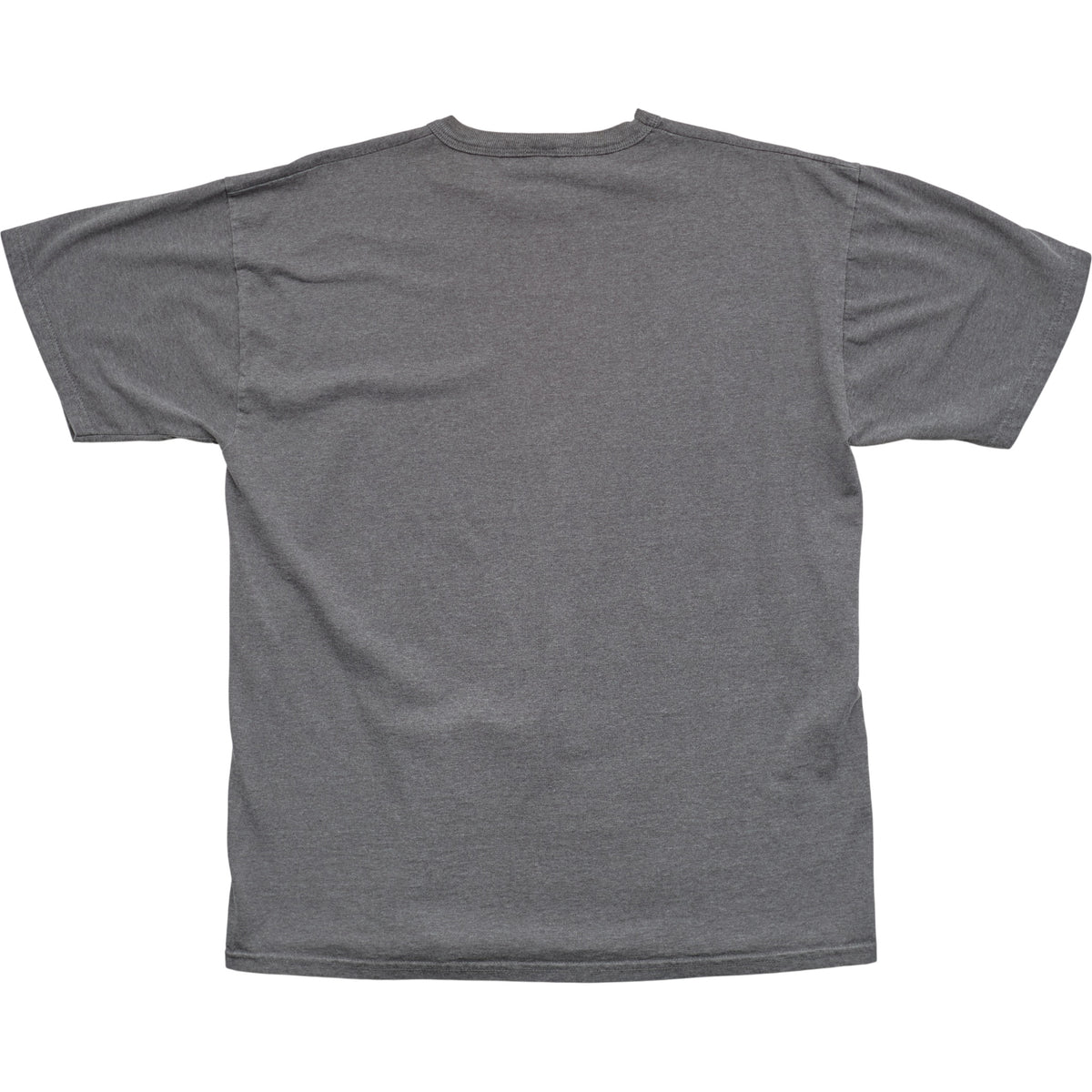 Springy x ACL Fest Gray Skyline Tee - L
