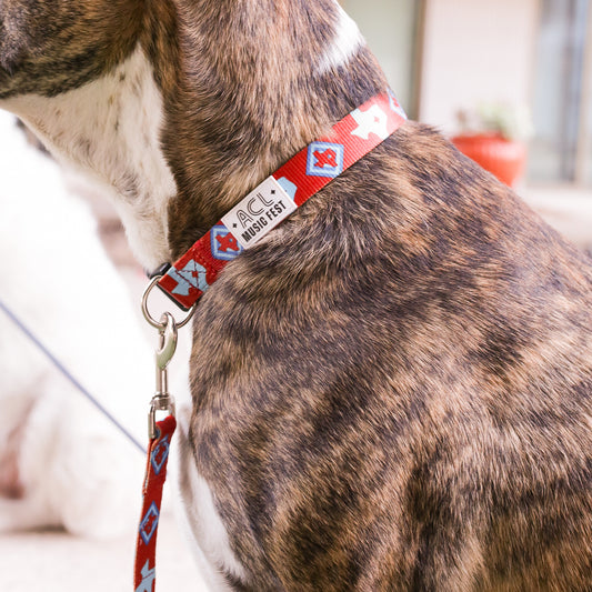 ACL Fest Dog Collar