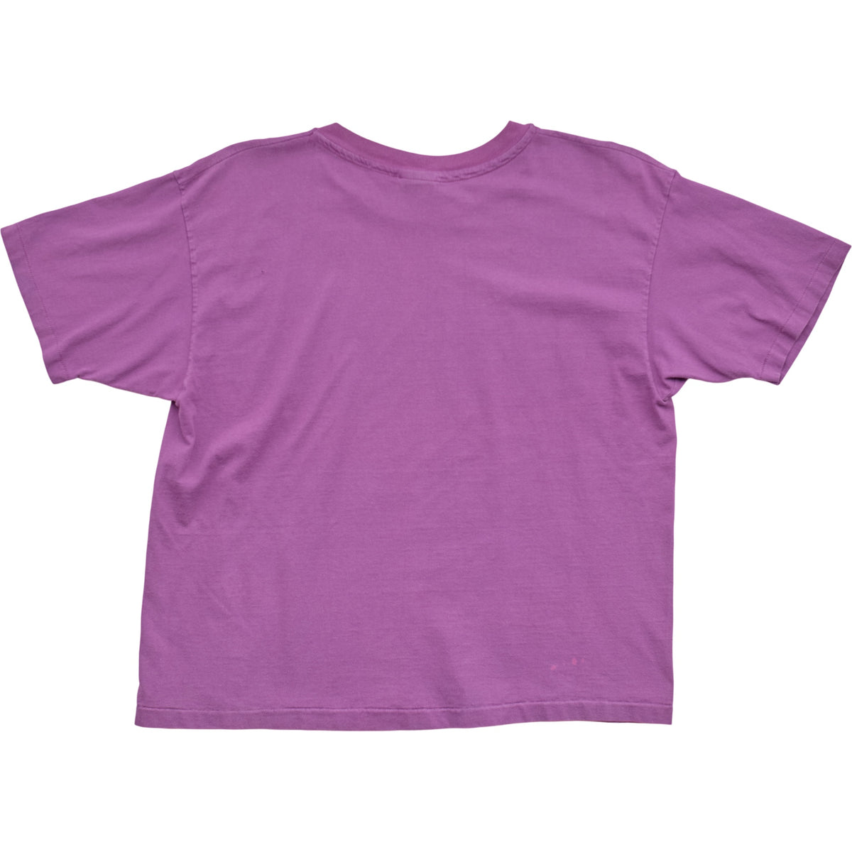 Springy x ACL Fest Purple Skyline Tee - M