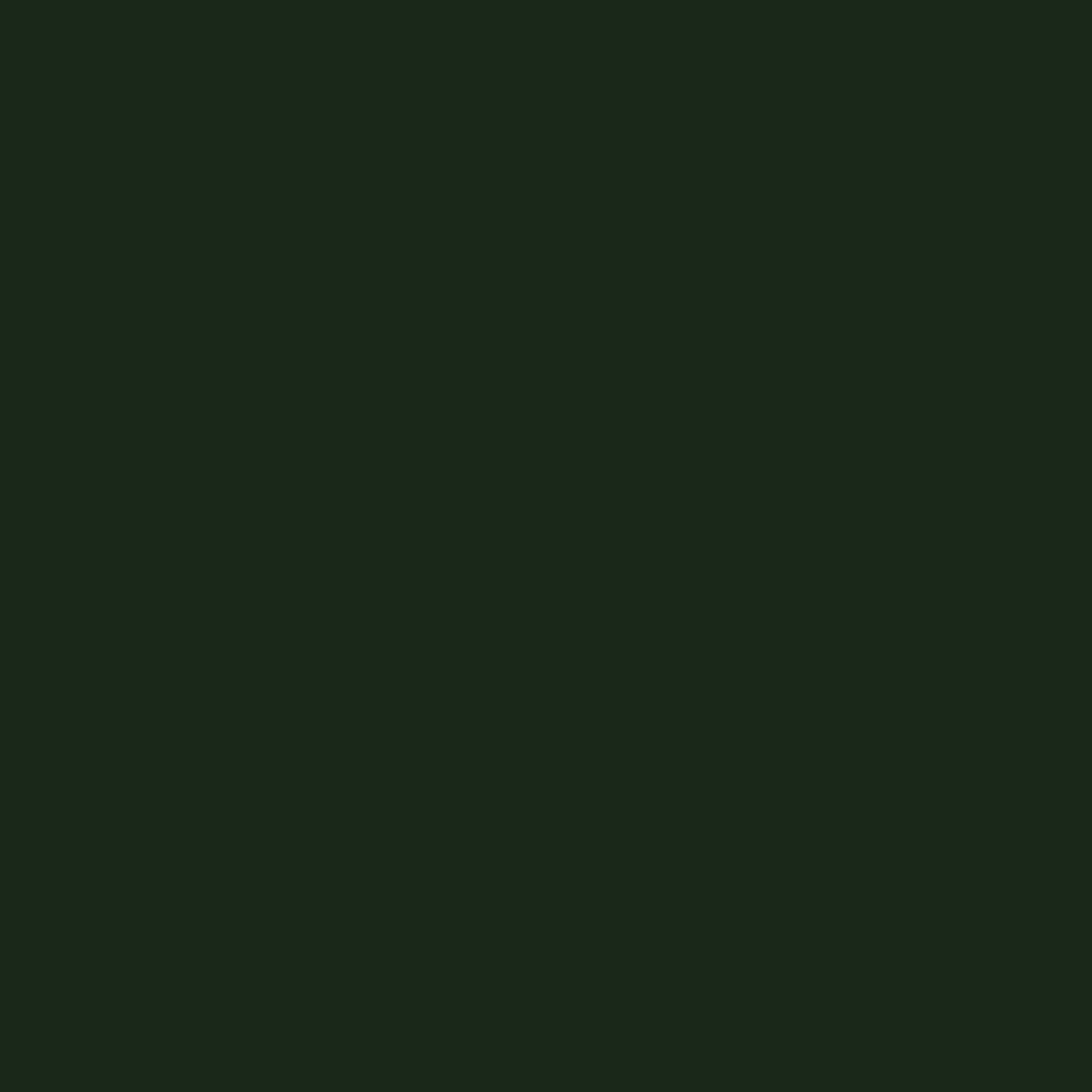 2X-Small