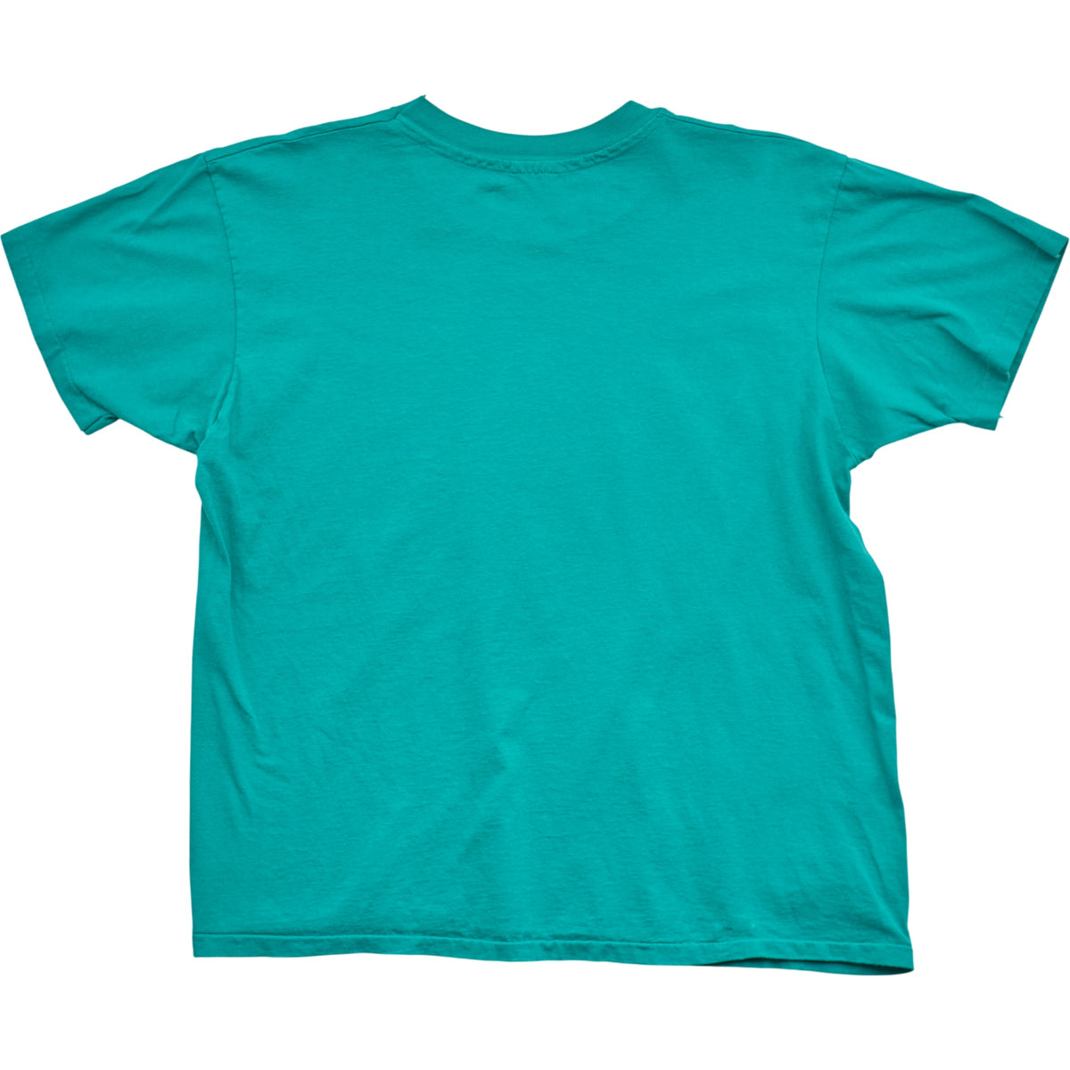 Springy x ACL Fest Teal Skyline Tee - M