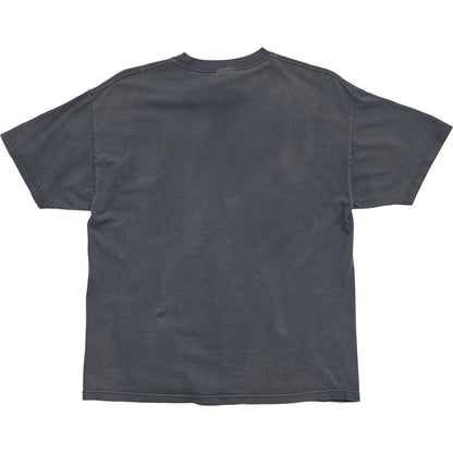 Springy x ACL Fest Gray Skyline Tee - L