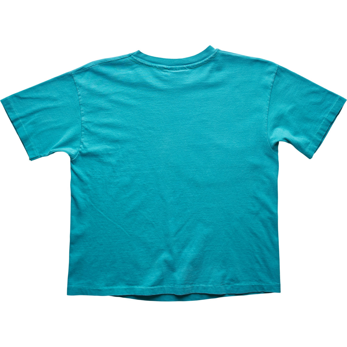 Springy x ACL Fest Teal Skyline Tee - S