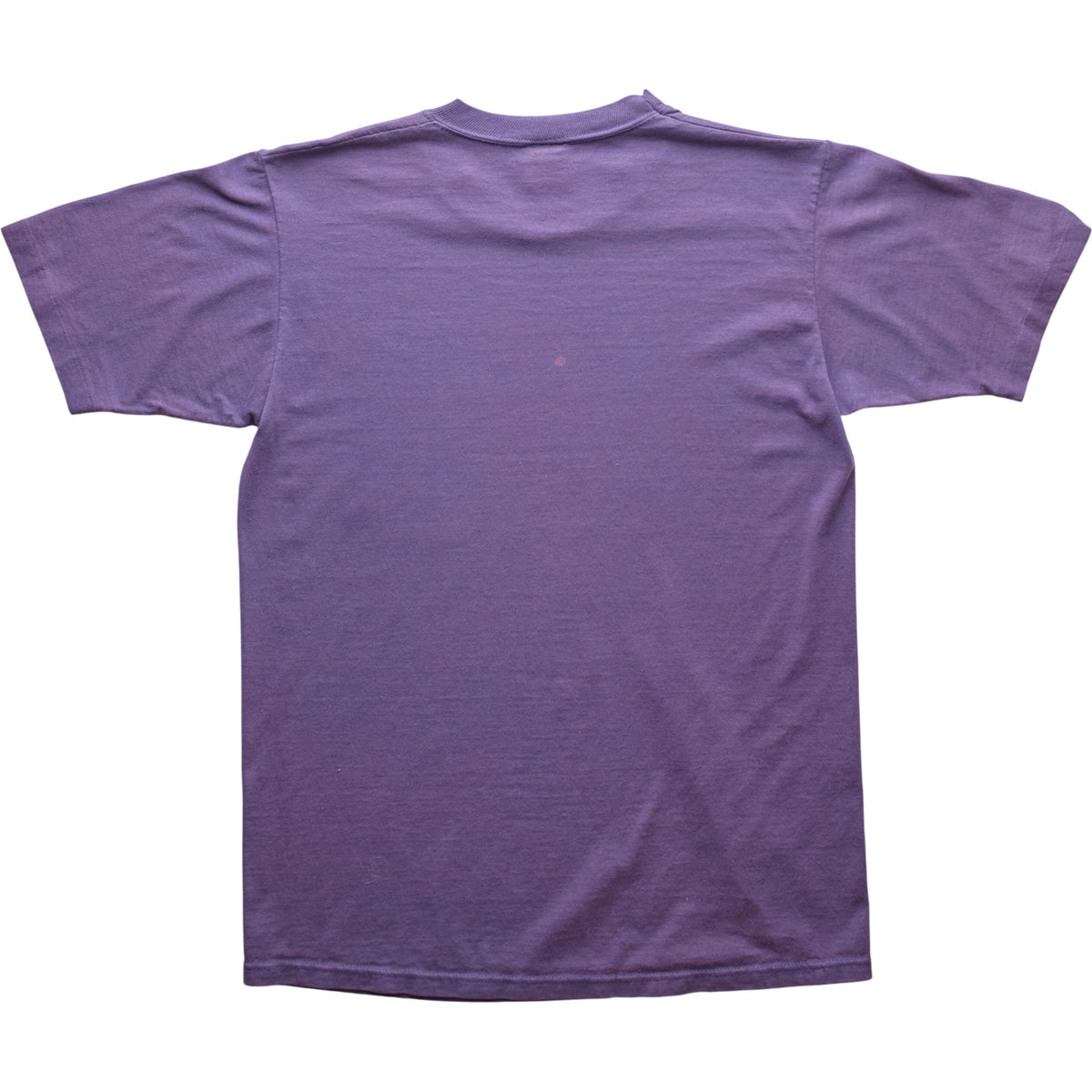 Springy x ACL Fest Purple Skyline Tee - S
