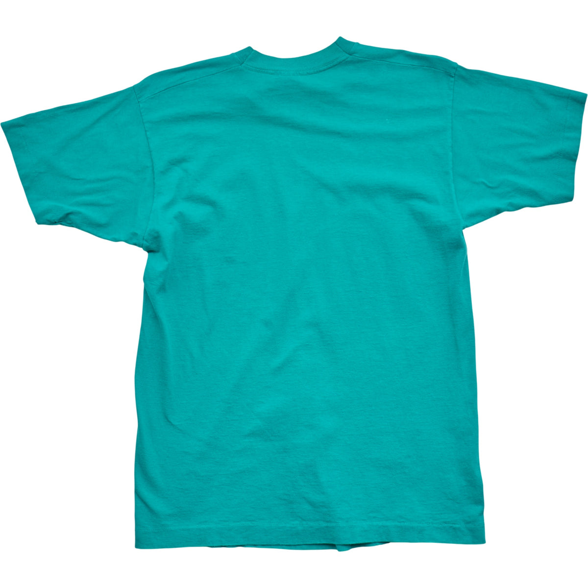 Springy x ACL Fest Teal Skyline Tee - L