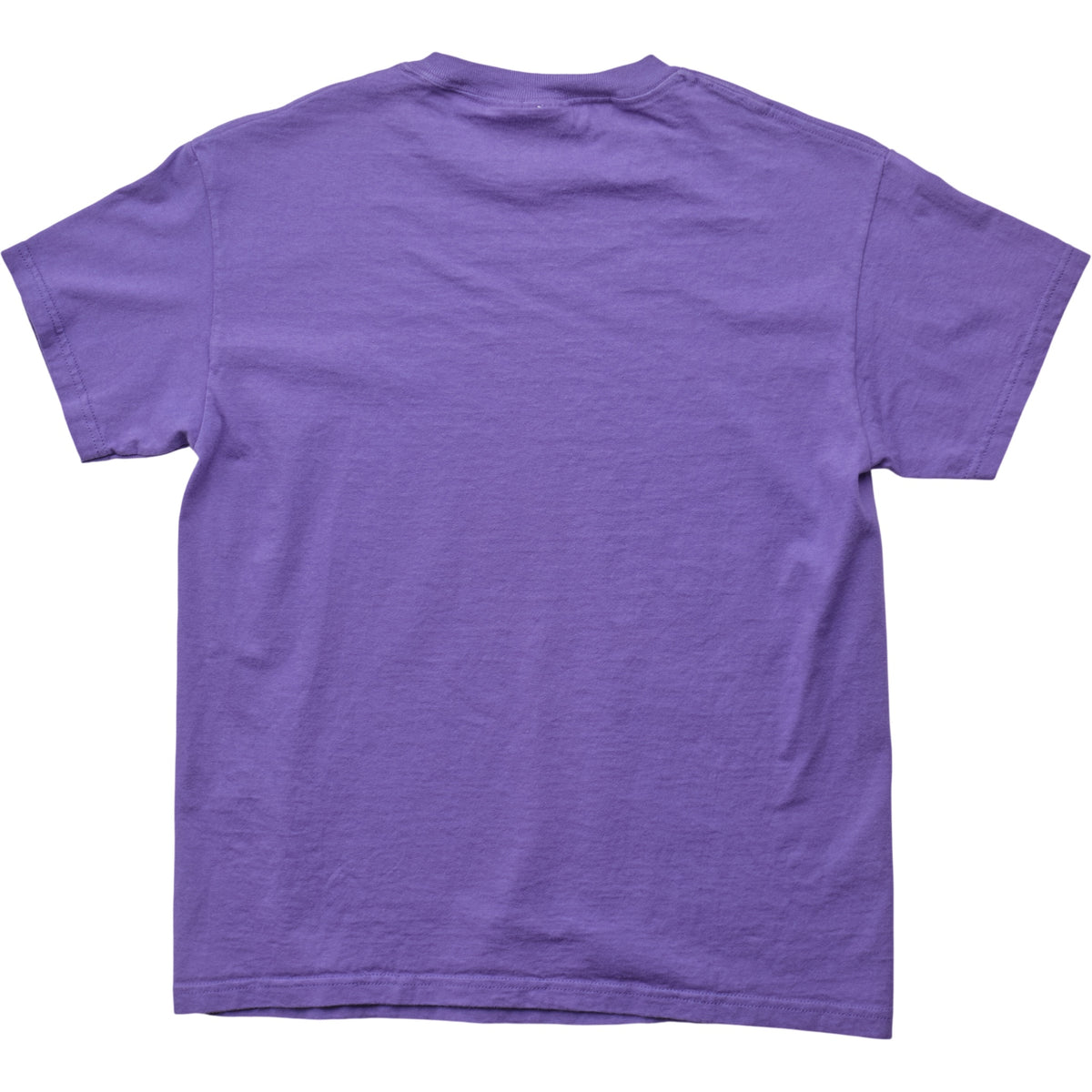 Springy x ACL Fest Purple Skyline Tee - S